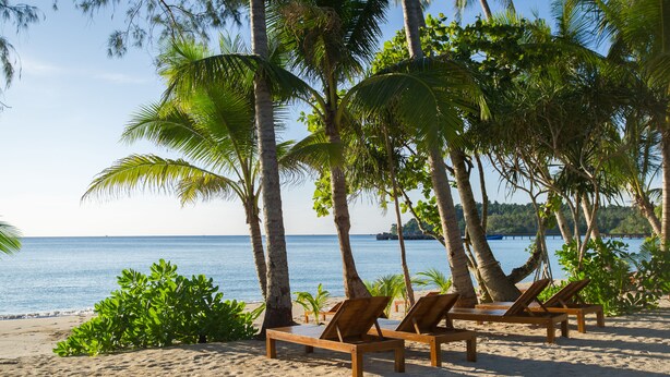 A beach with palm trees and lounge chairs.
