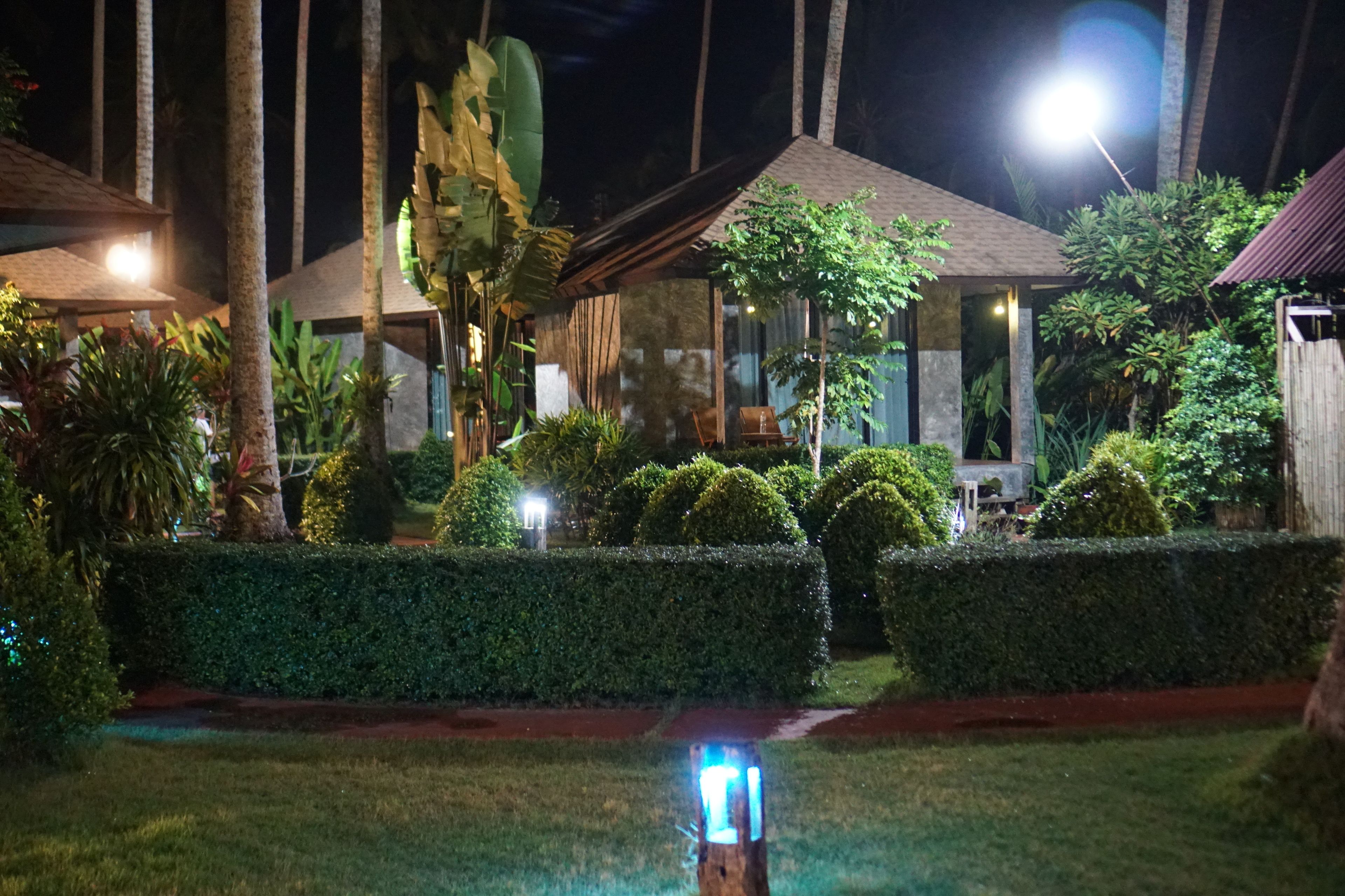 beachfront cottage | garden view