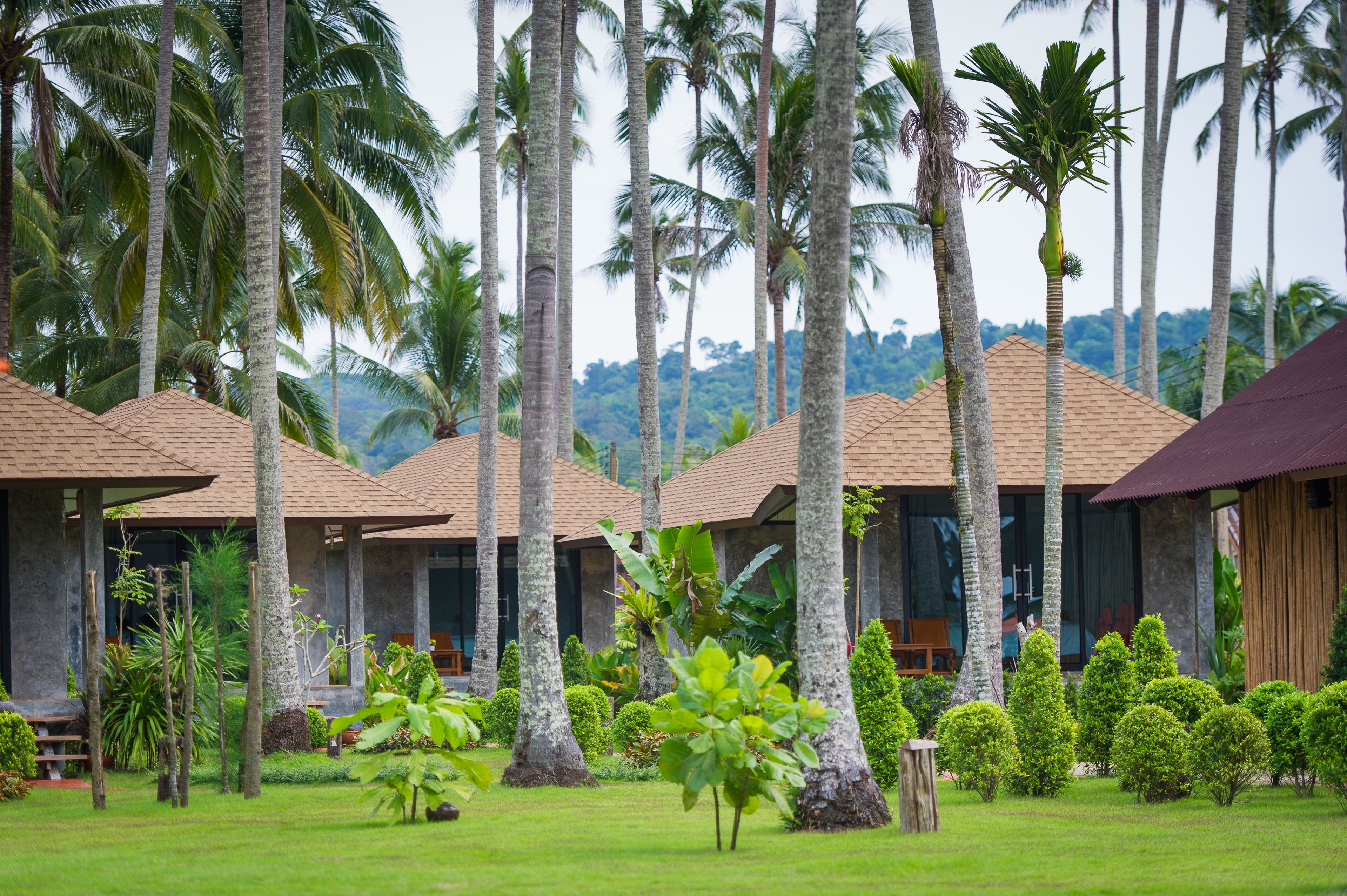 A resort with multiple bungalow-style buildings, surrounded by lush greenery and tall palm trees.