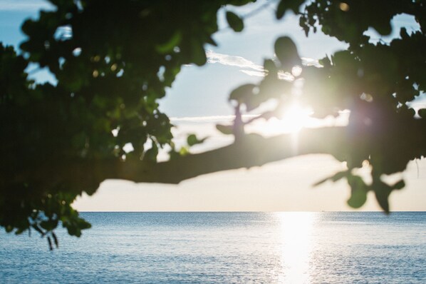 A beach scene with sunlight reflecting off the water, partially obscured by tree branches.