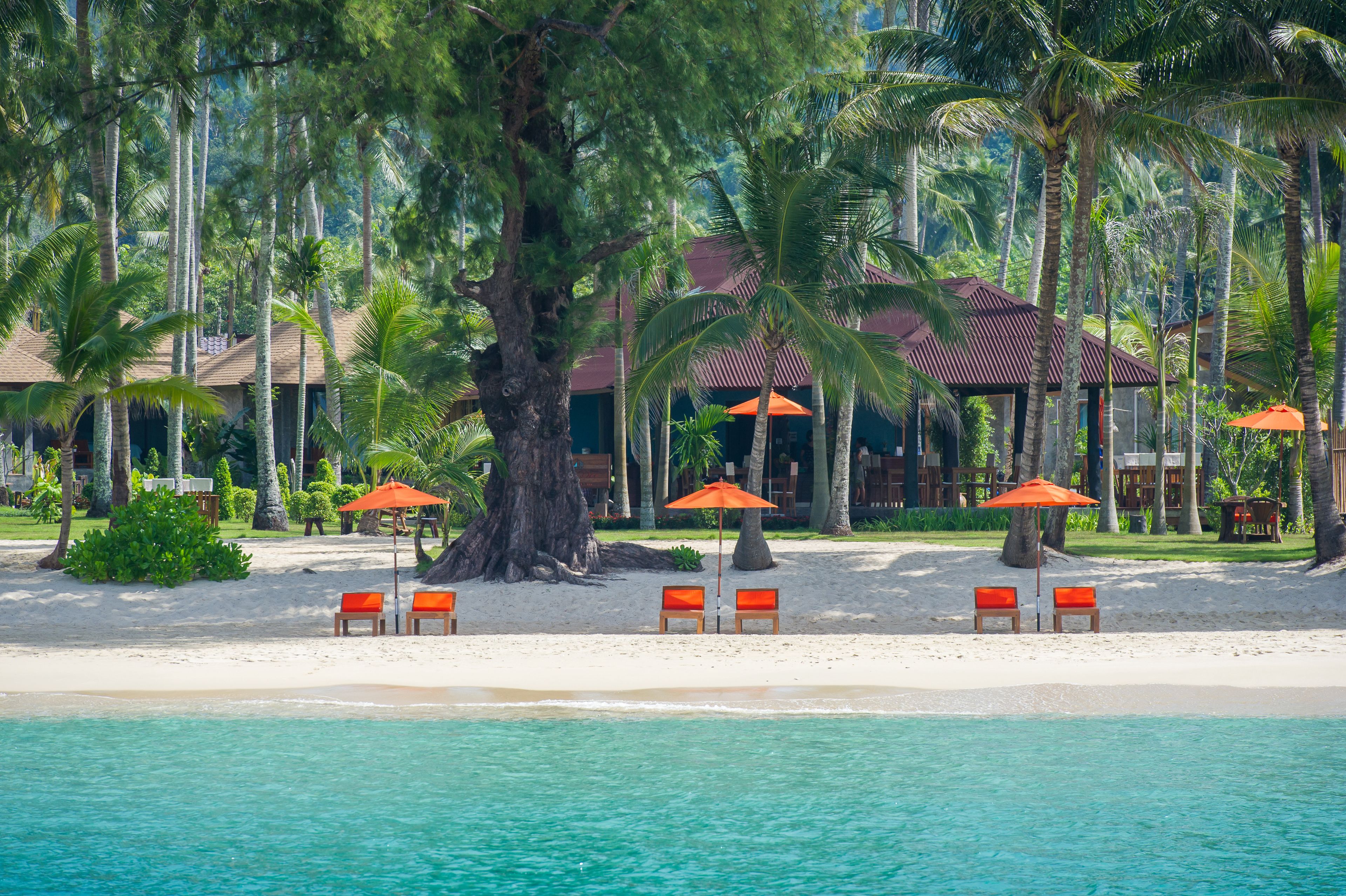 A beachfront resort with palm trees, beach chairs, and umbrellas.