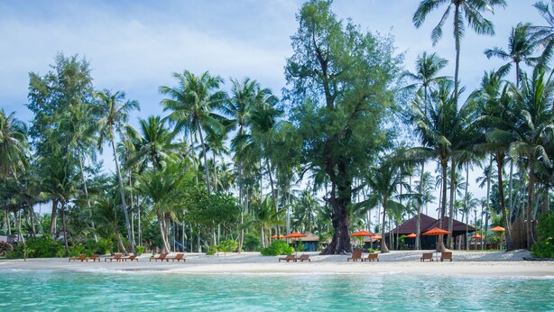 A beach resort with clear turquoise waters, palm trees, and beach chairs. - Medee Resort (Ko Kood)