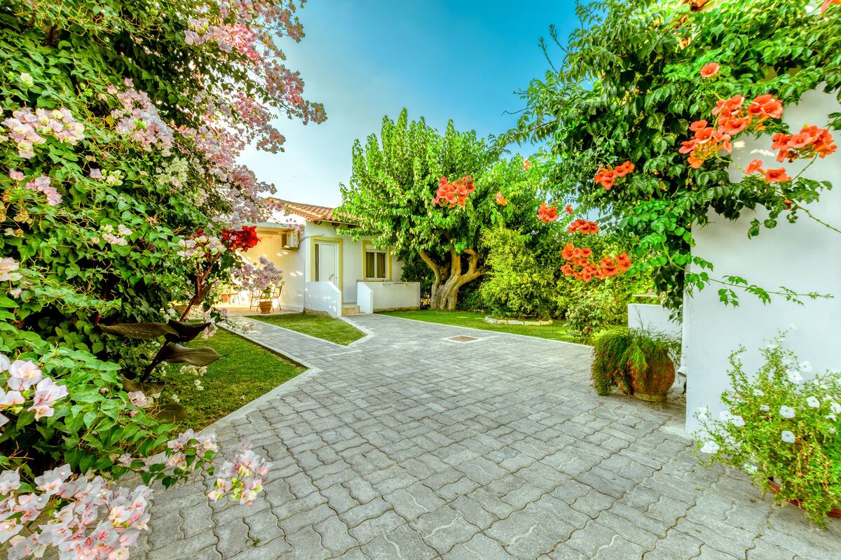 A paved courtyard with a pathway leading to a building, surrounded by lush greenery and flowering plants.