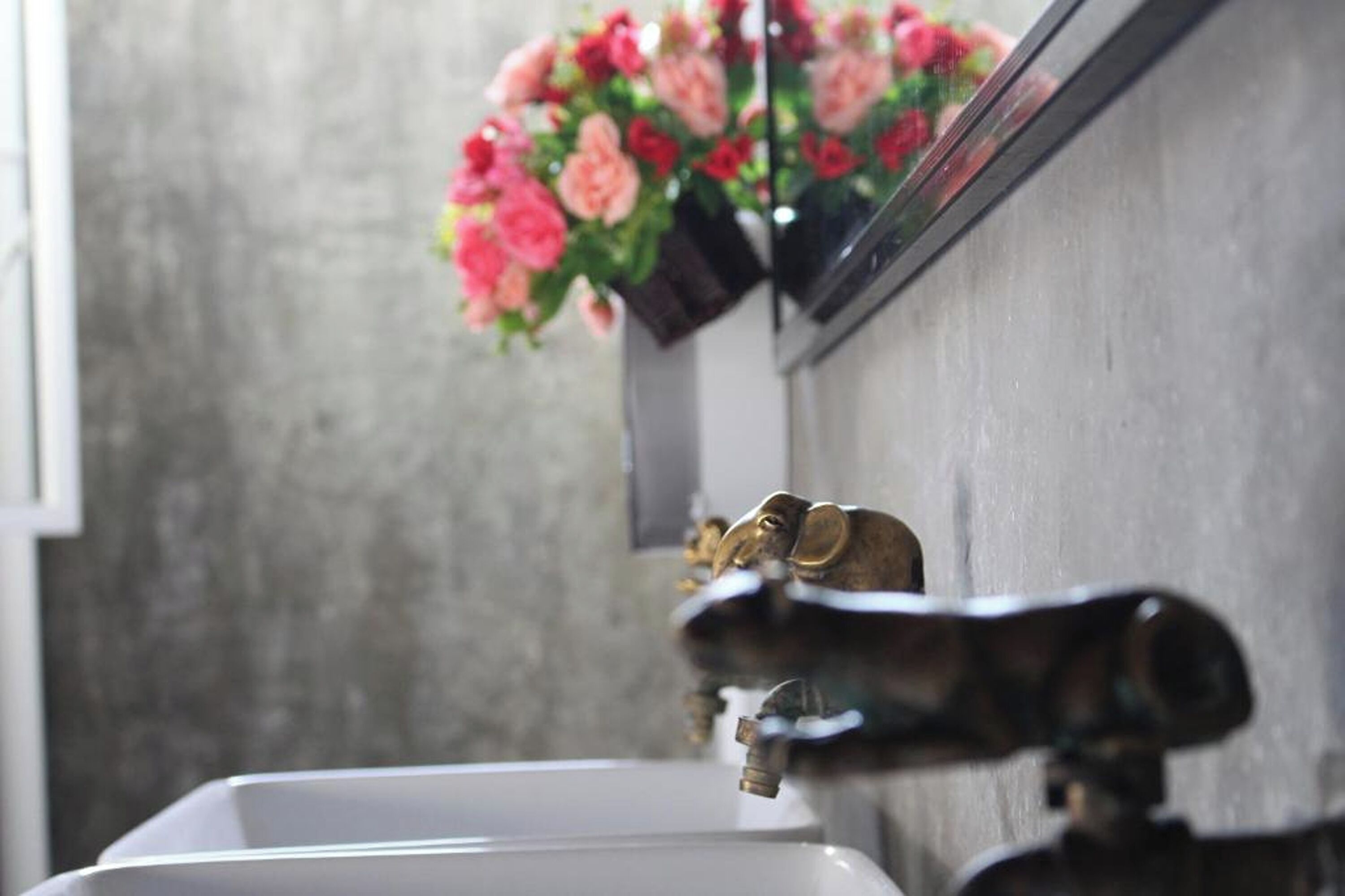 Foto - Beehive Phuket Old Town Hostel