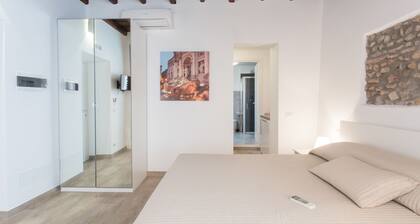 Domenichino Luxury Home