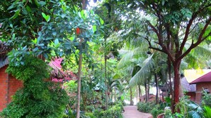 A narrow stone pathway flanked by lush greenery and trees, leading to a building with a red roof. - Nhat Lan Resort (Phu Quoc)
