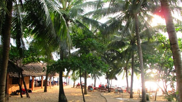 A beach with palm trees, a thatched-roof hut, and a sandy path. - Nhat Lan Resort (Phu Quoc)