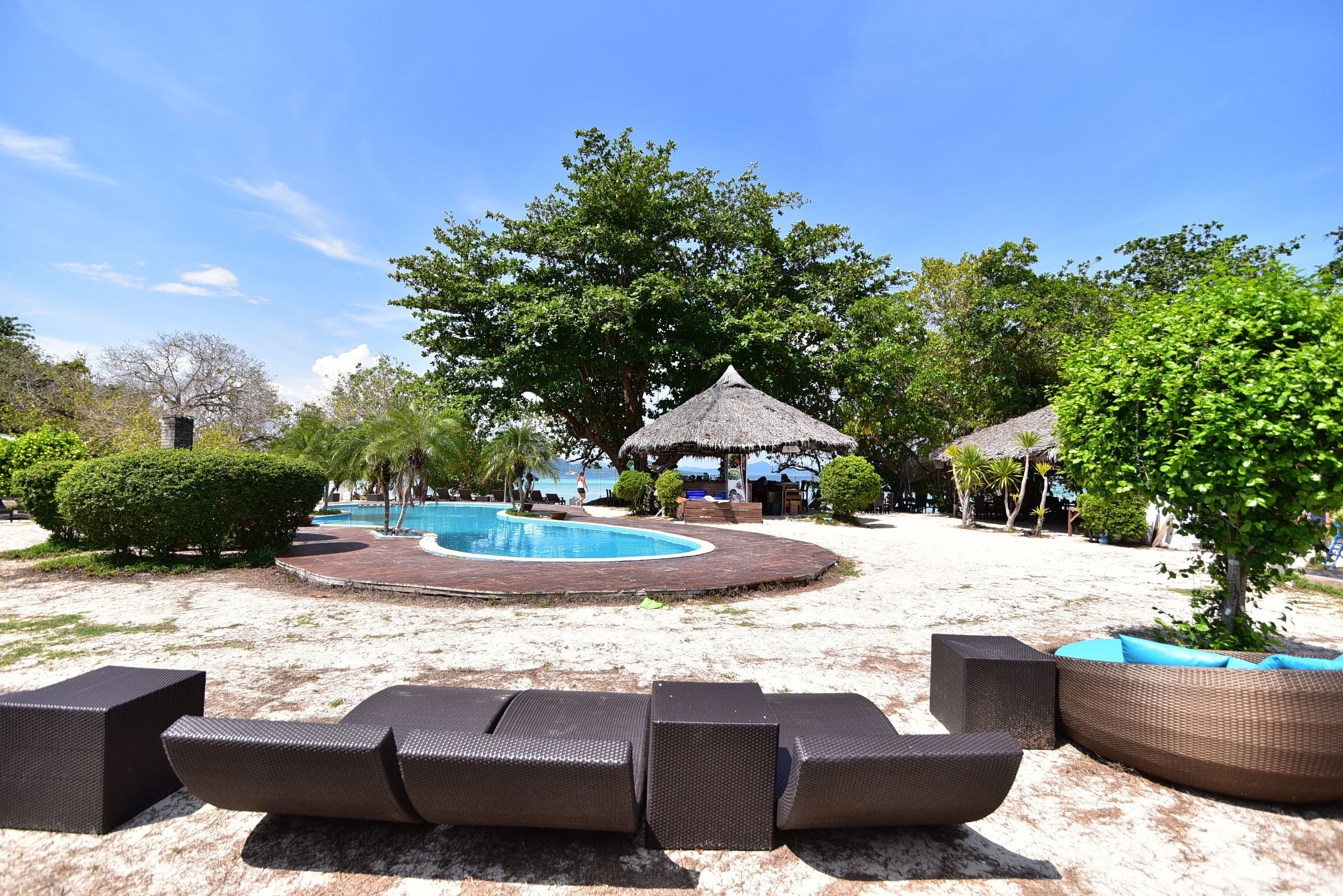 outdoor pool, pool loungers