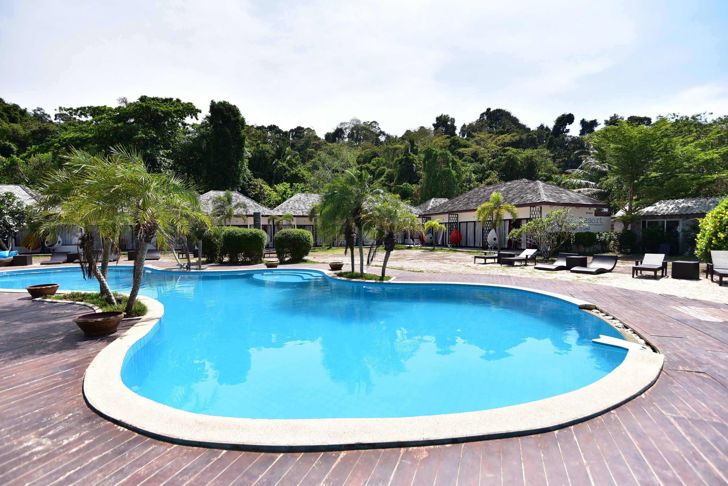 A swimming pool with lounge chairs and palm trees.