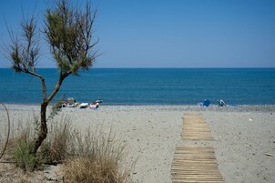 Μια παραλία με μια ξύλινη προβλήτα που οδηγεί προς τη θάλασσα, μερικές ξαπλώστρες και ένα δέντρο.