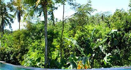 Mantra Nature Retreat