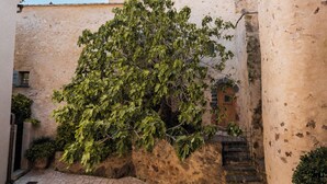 Un patio con un sendero adoquinado, un árbol y un edificio con ventanas arqueadas y una escalera.