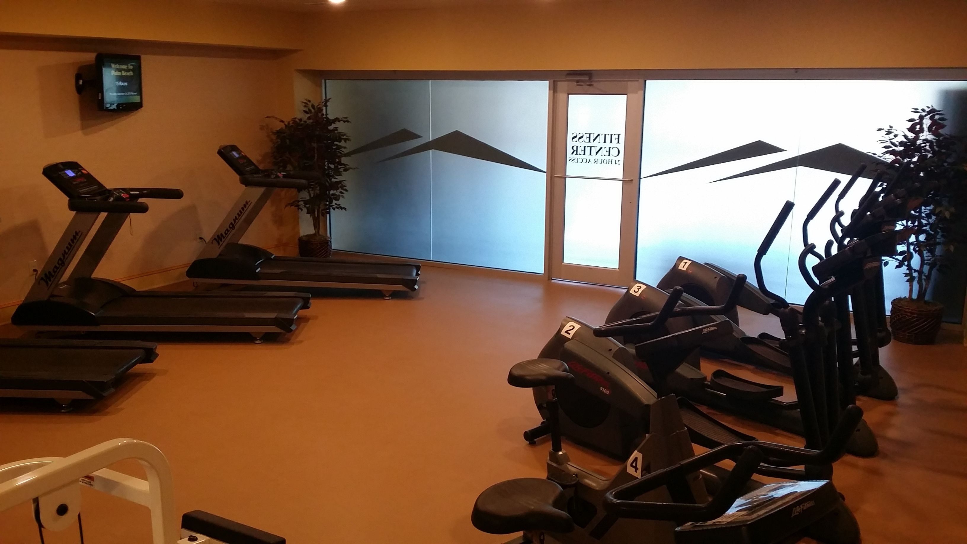 A gym with treadmills, elliptical machines, and exercise bikes.
