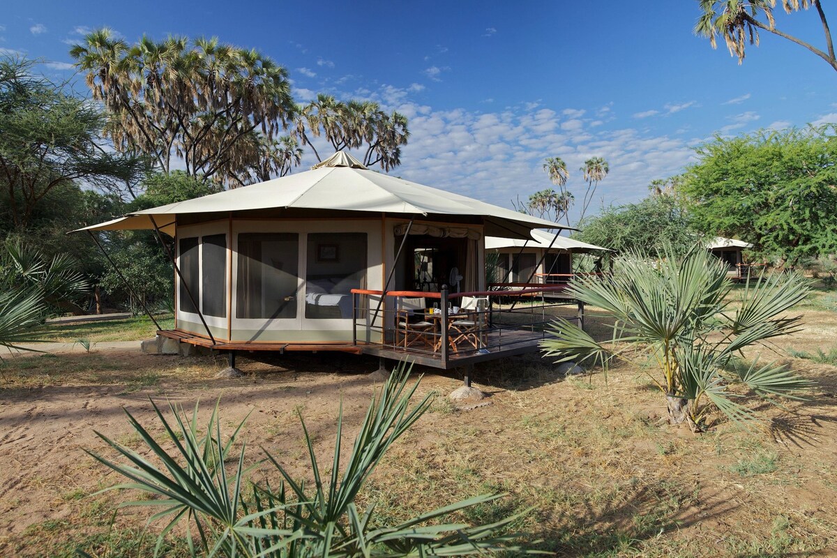 A single-room tent-style accommodation with a balcony, surrounded by dry grass and sparse vegetation.