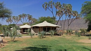 Two outdoor seating areas with umbrellas, surrounded by desert vegetation and a mountainous backdrop. - Ashnil Samburu Camp (Samburu)