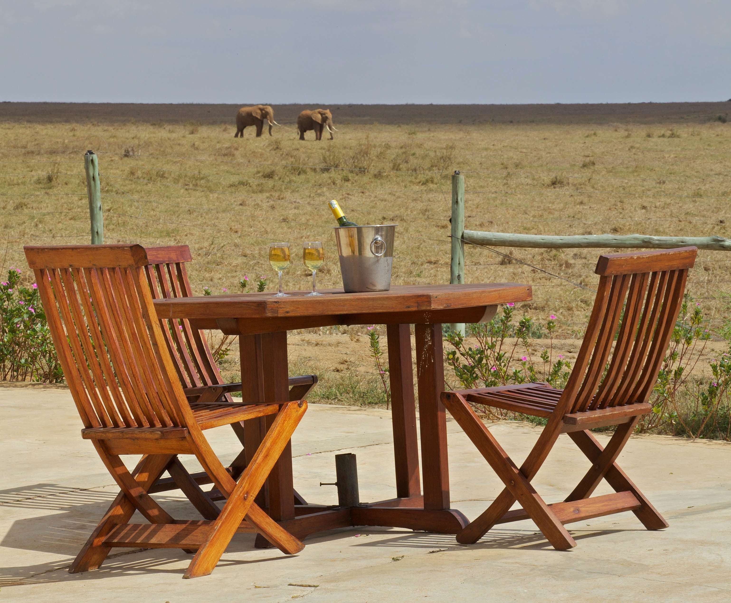 A wooden table and two chairs set outdoors with a view of elephants in the distance.