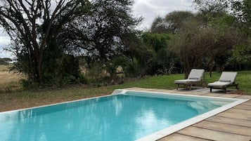 Outdoor pool, pool loungers