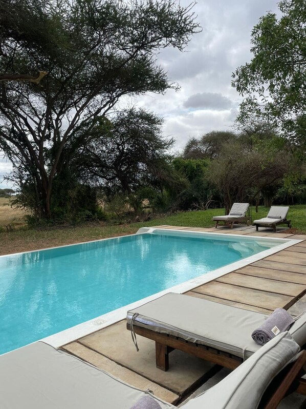 Outdoor pool, sun loungers