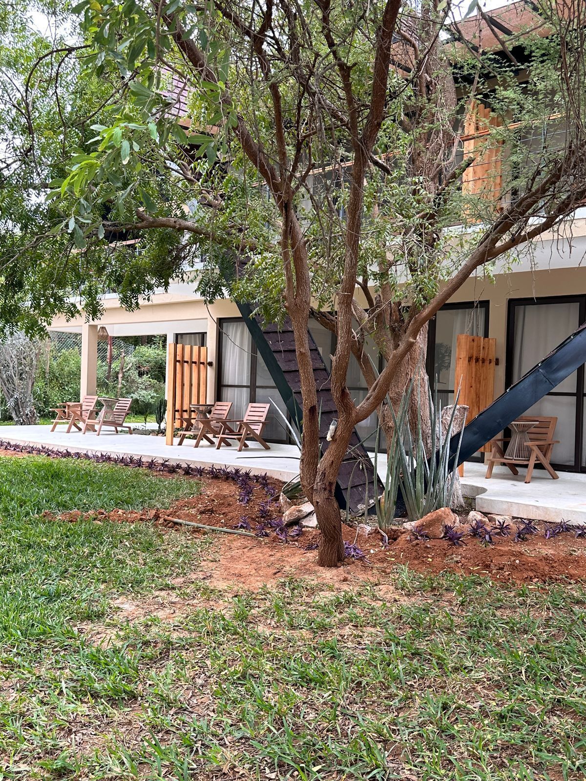 Une maison moderne dotée d’un patio aménagé avec du mobilier d’extérieur et un arbre.