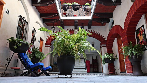 Un patio con una silla azul, plantas en macetas grandes y una escalera que lleva a un nivel superior.