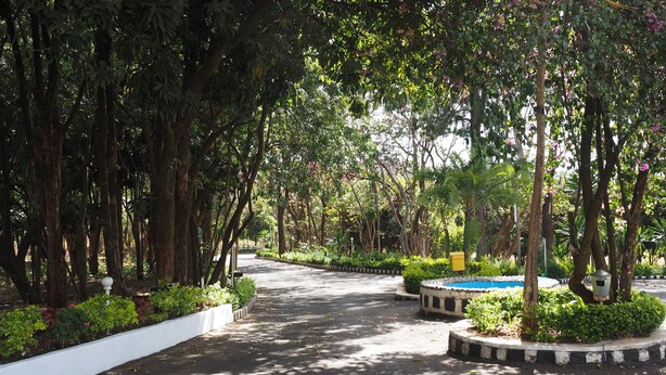 Um caminho arborizado e com arbustos conduz a uma área circular com bancos e um poste de luz.