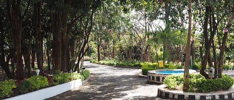 Courtyard