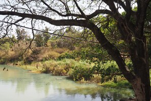 View from room - Tana Hotel (Bahir Dar)