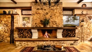 Una chimenea de piedra con fuego, rodeada de libros, una planta y un televisor.