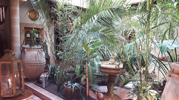 Interior - Riad Arambys (Essaouira)