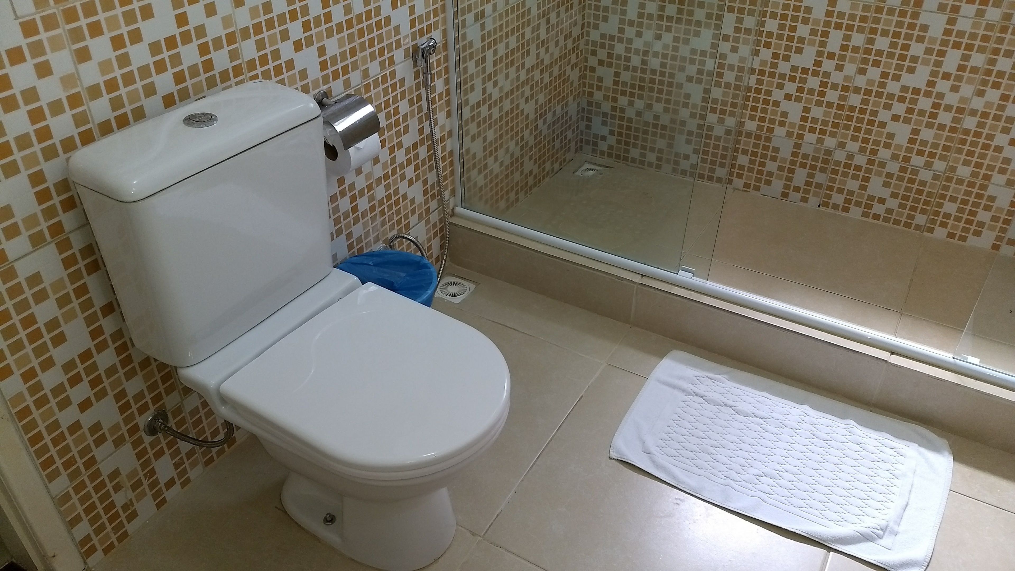 Casa de banho com sanita, chuveiro e um contentor de lixo azul.