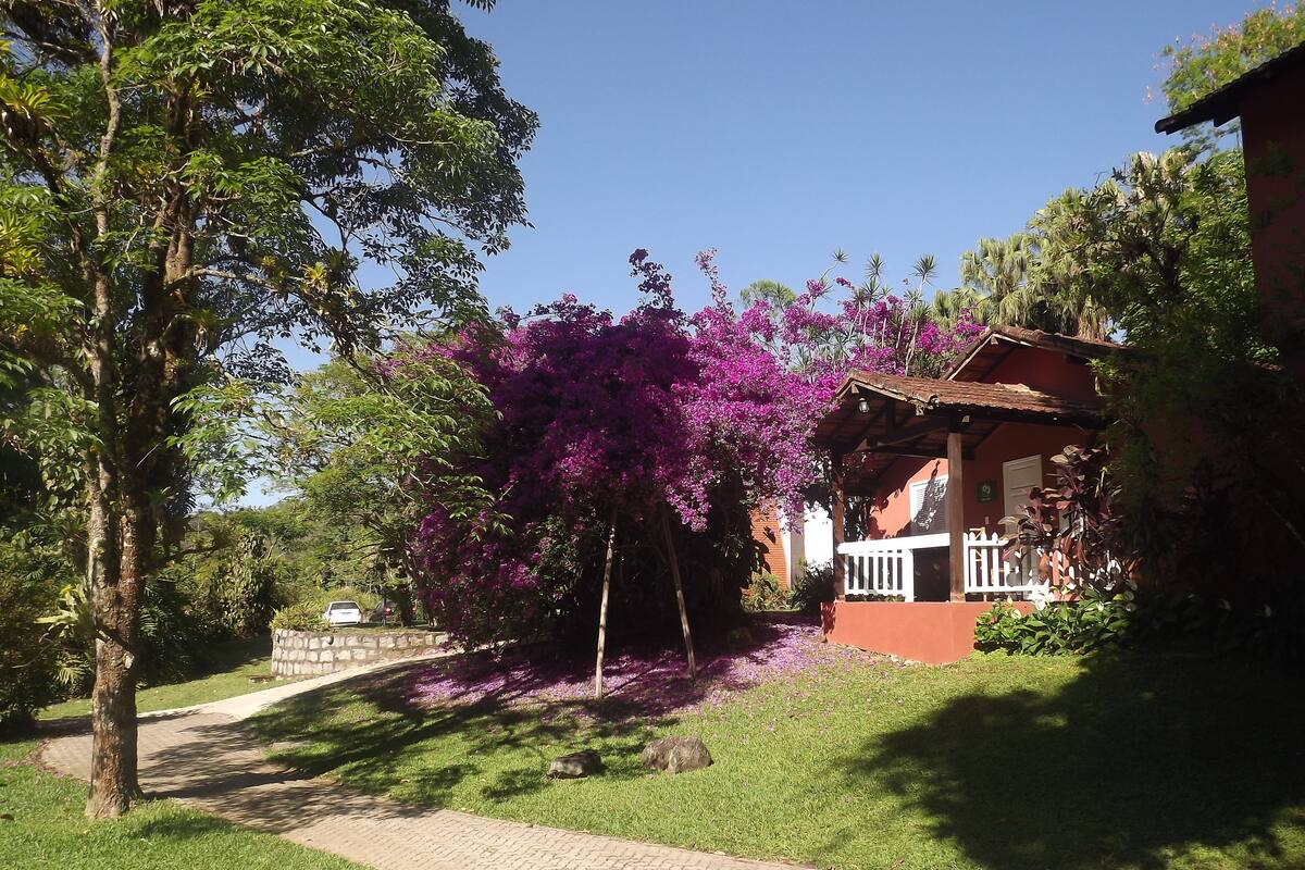 Ein Wohngebiet mit einem gepflasterten Weg, einem Haus mit roter Fassade und einem Baum mit violetten Blüten.