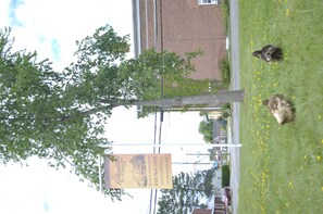 A grassy area with a tree and a building in the background. - Gîte Le Roupillon en Beauce (Scott)