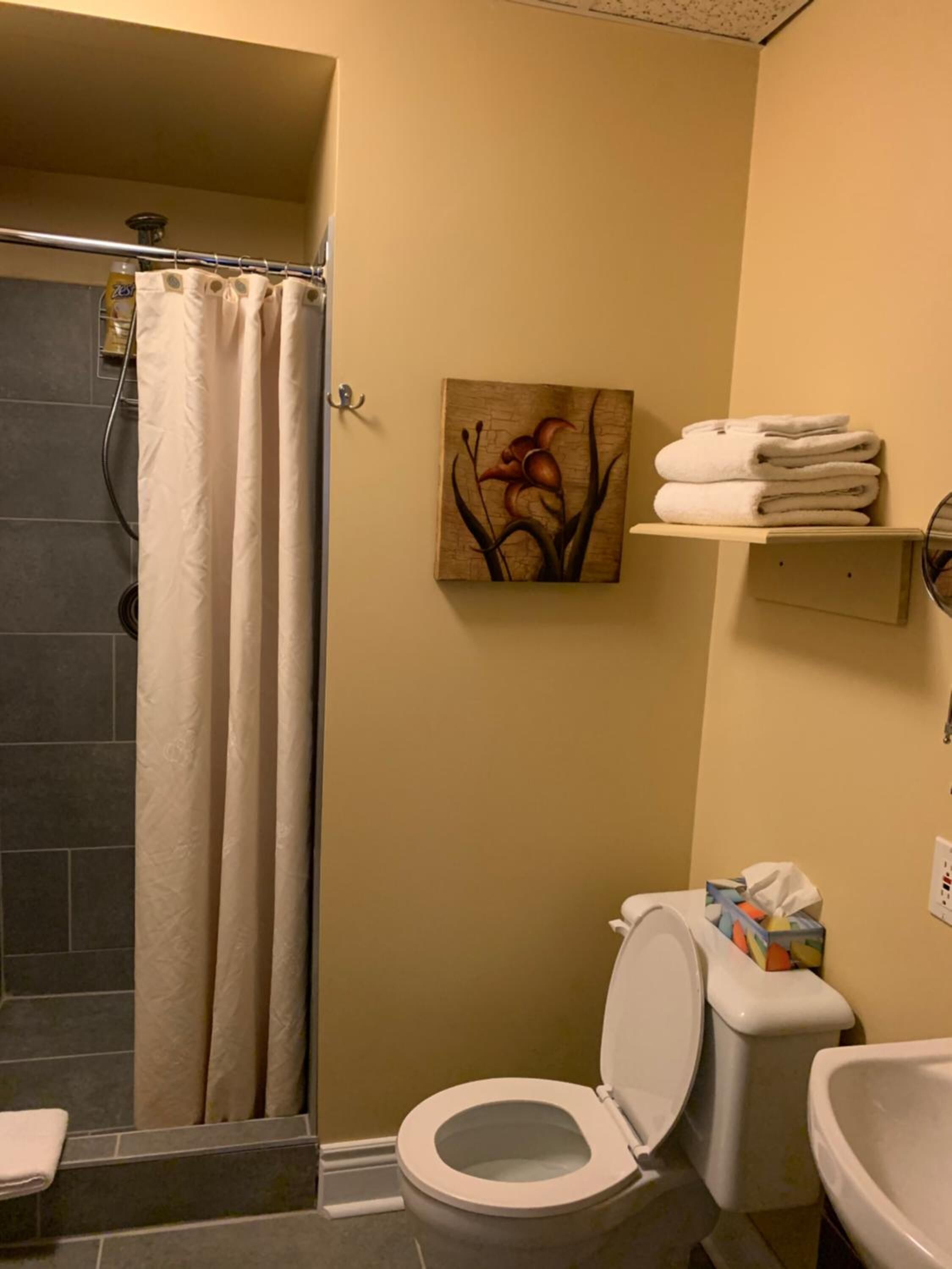 Une salle de bain équipée d’un rideau de douche, de toilettes, d’un lavabo et d’un porte-serviettes.