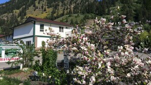 Un edificio blanco con techo verde, rodeado de magnolias en flor.