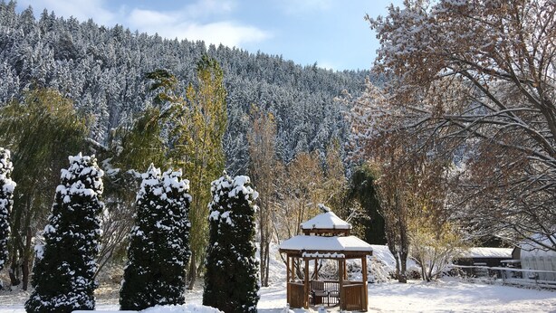 Un jardín nevado con un pabellón, árboles de hoja perenne y un bosque cubierto de nieve al fondo.