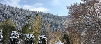 チェイス カントリー イン モーテル