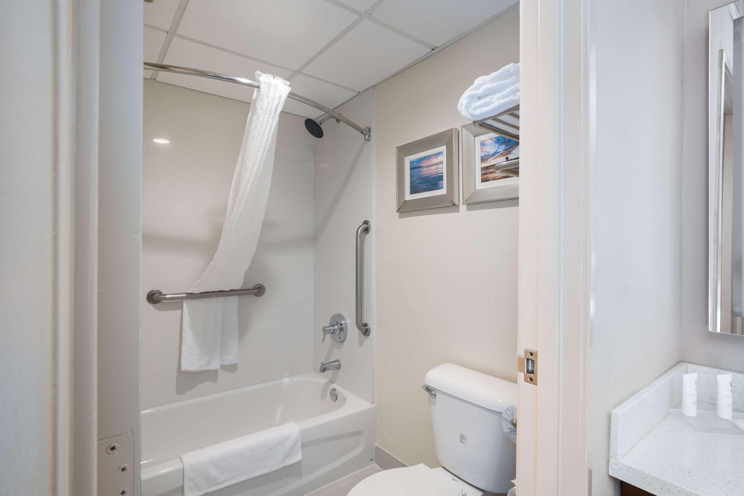 A bathroom with a bathtub, toilet, and a shower curtain.