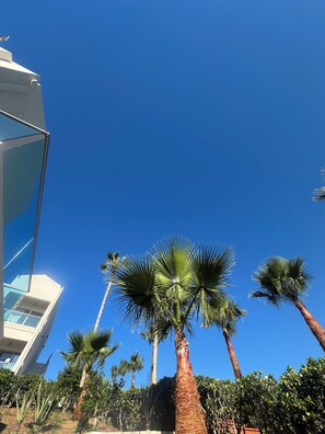 Um edifício moderno com céu azul límpido, palmeiras e um jardim bem cuidado.