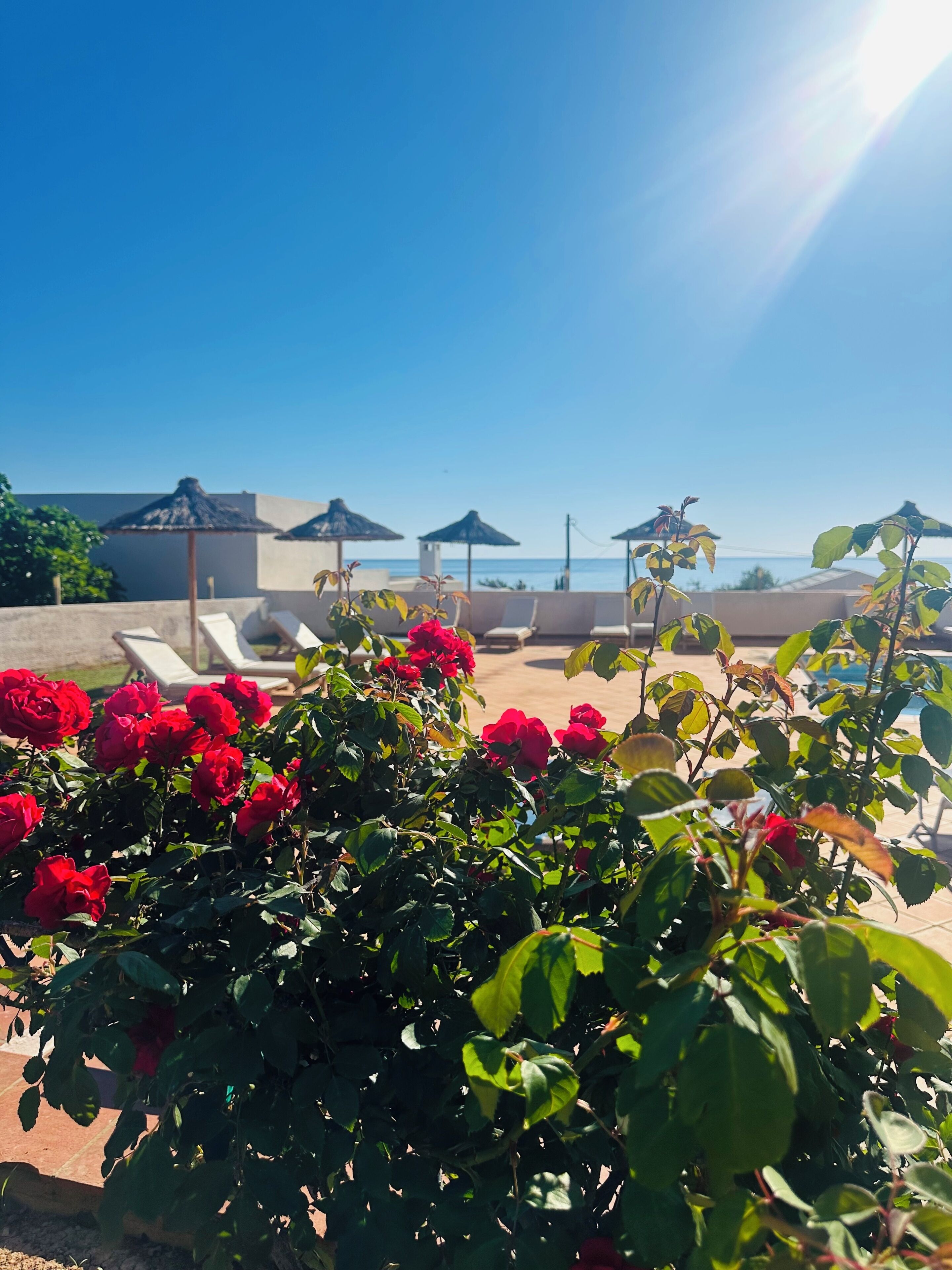 Photo - Saradari Beach Hotel - Adults Only