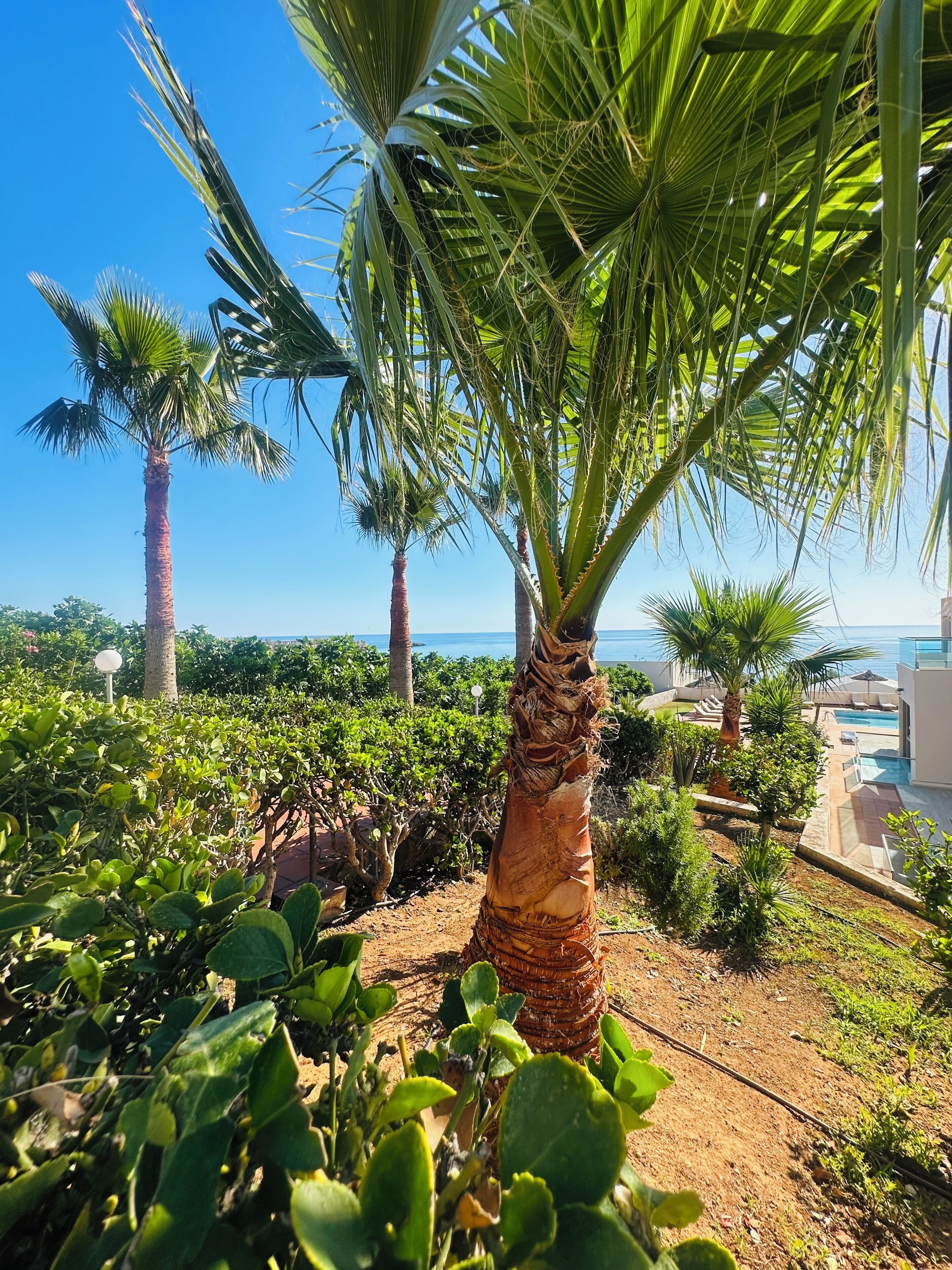 Photo - Saradari Beach Hotel - Adults Only