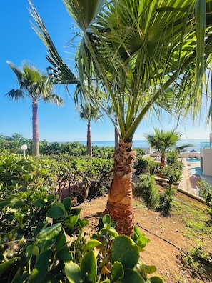 A tropical garden with palm trees, a pool area, and a view of the sea. - Saradari Beach Hotel - Adults Only (Hersonissos)