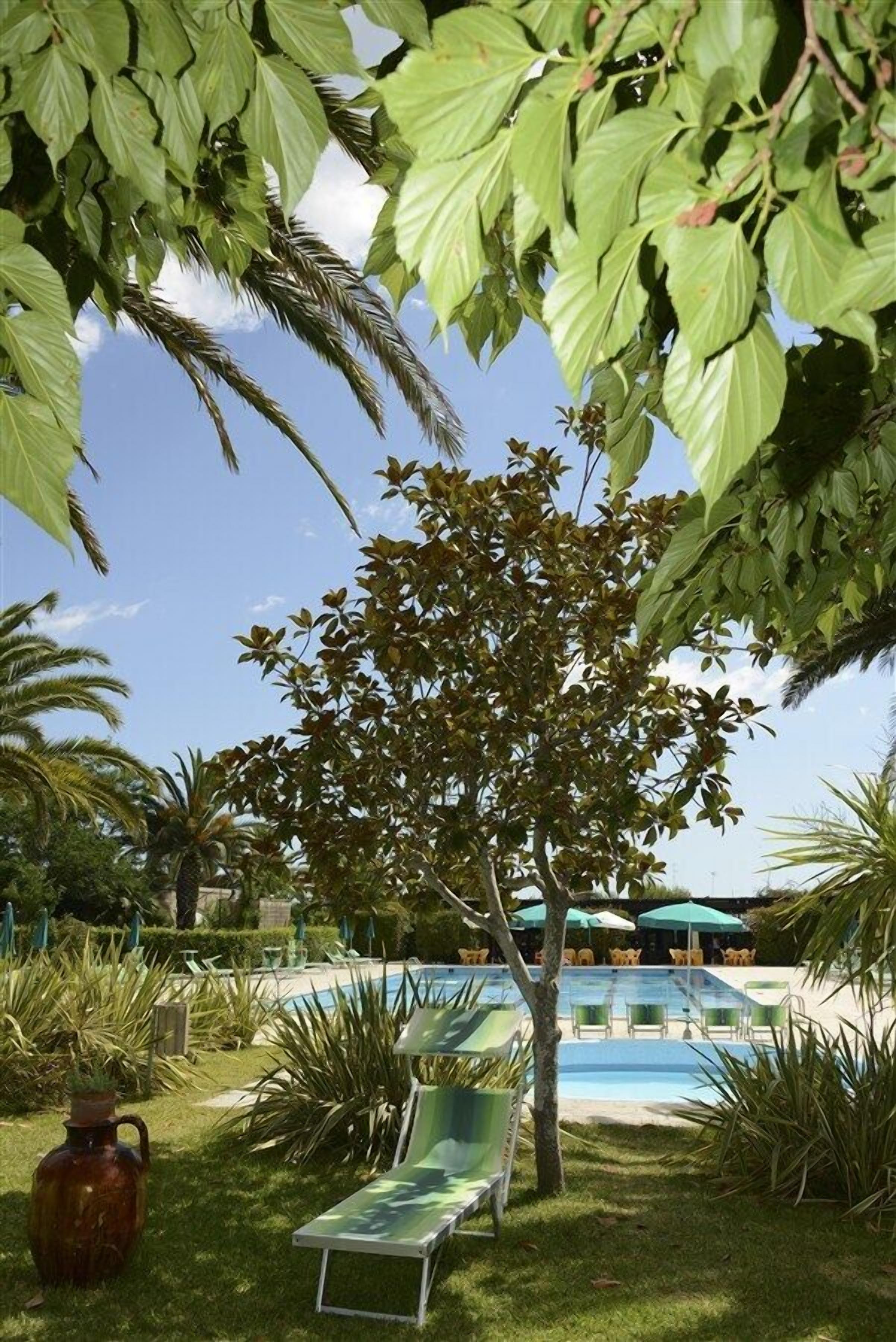 A poolside area with lounge chairs, a tree, and a clear blue sky.