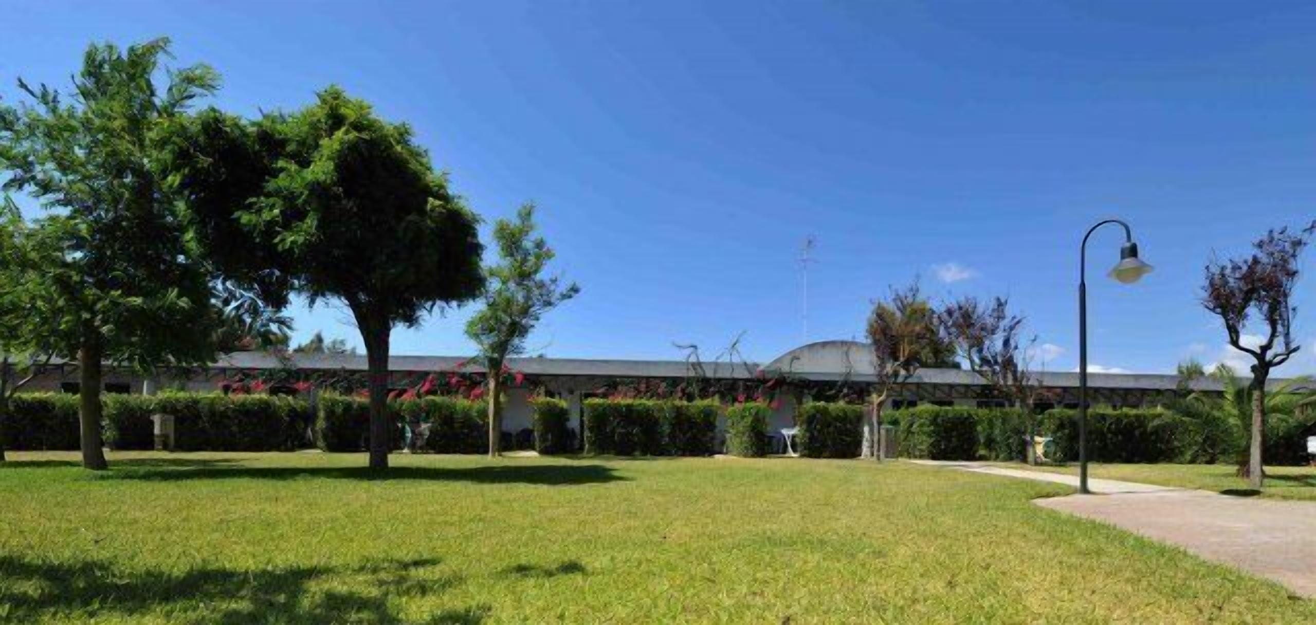 A well-maintained grassy area with trees and a pathway leading to a building with a dome structure.