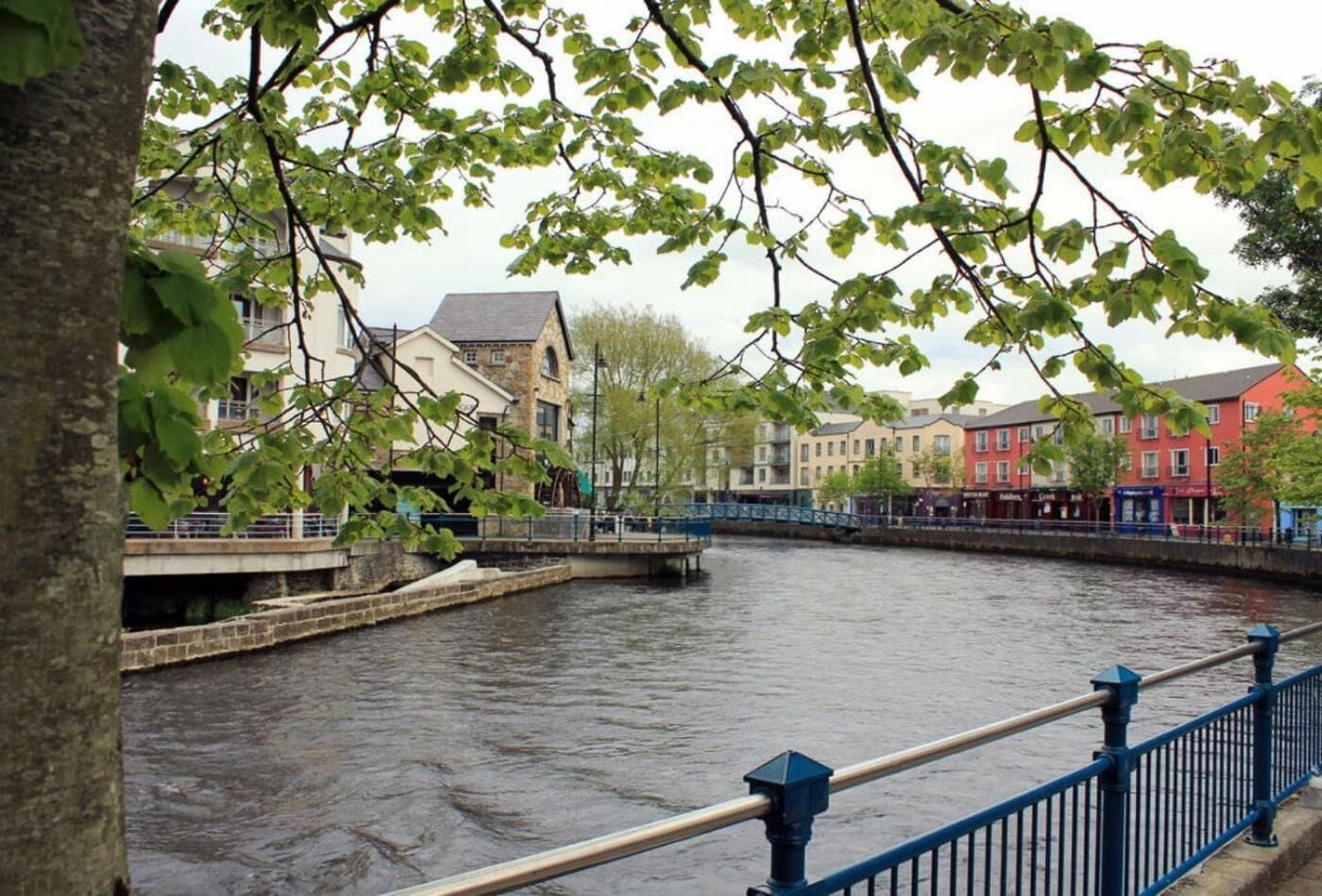 Un río con un puente, edificios a lo largo de la orilla y un árbol en primer plano.