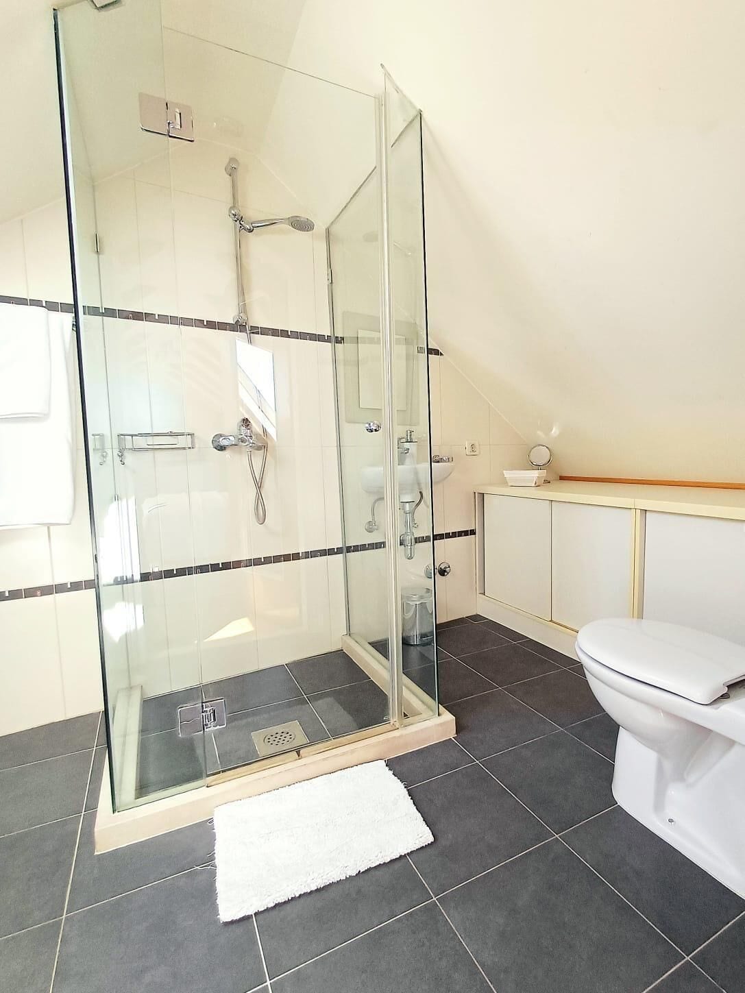 Un baño moderno con ducha envuelta en vidrio, inodoro blanco y una pequeña zona de lavamanos.