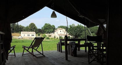 Les Ânes de Forcalquier