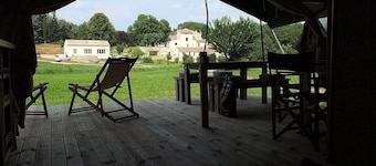 Les Ânes de Forcalquier