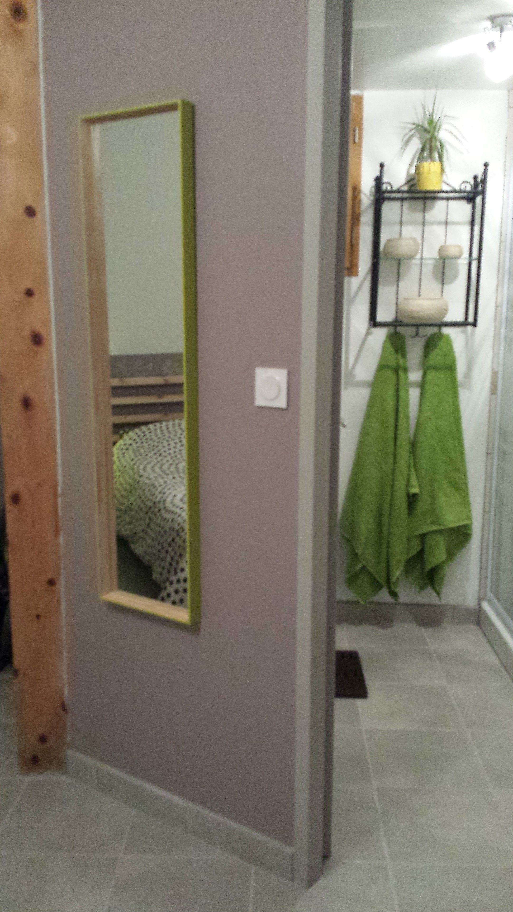 Un bagno con specchio, porta asciugamani e una pianta in vaso.