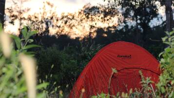 A red tent labeled "Eureka! Juno 3 XTA" in a natural setting with dense foliage.