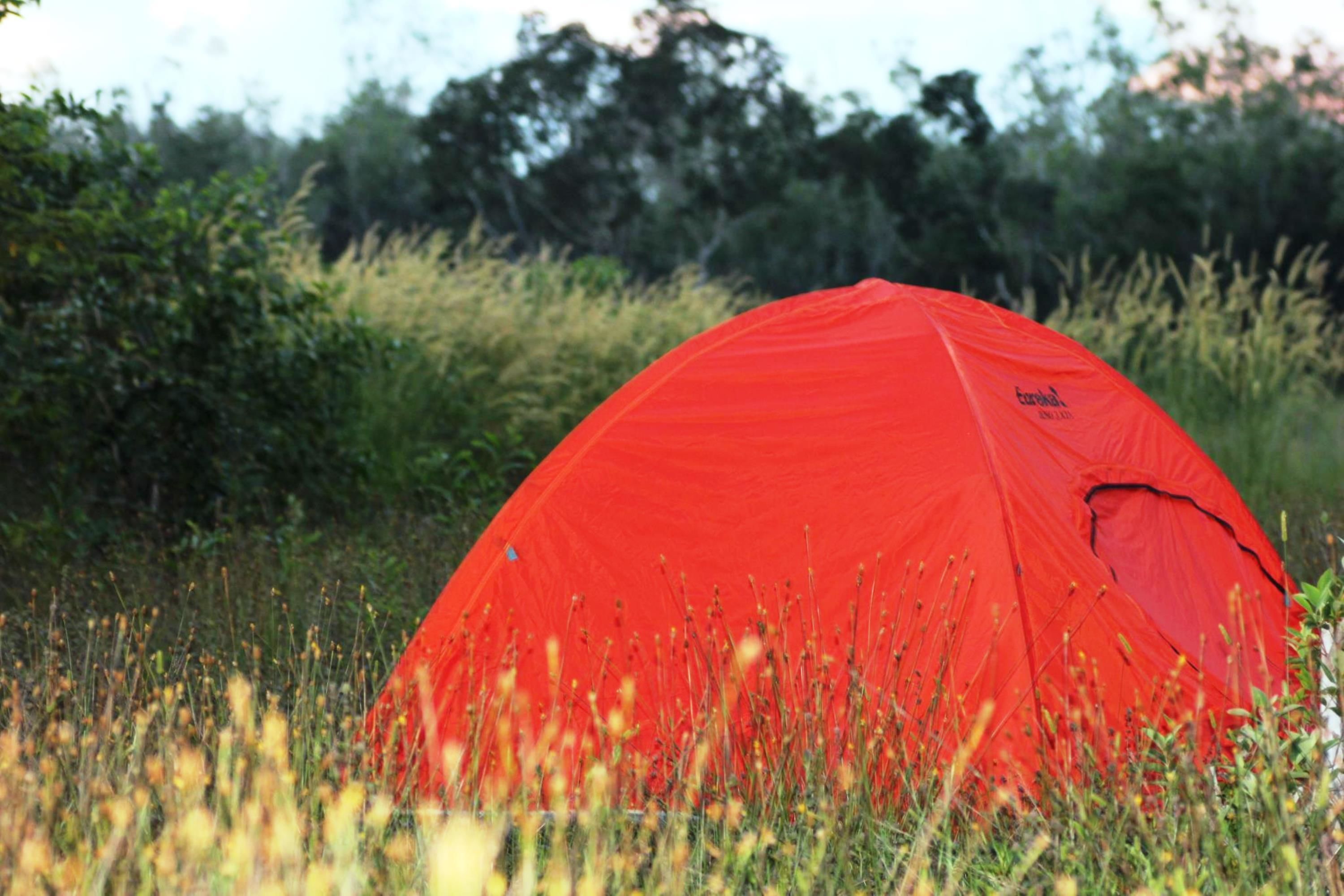 A red tent in a grassy field with dense foliage in the background.